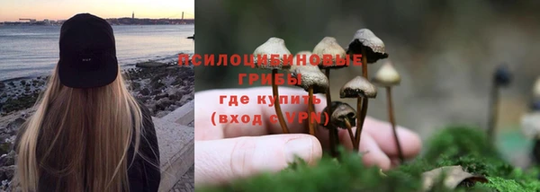 MDMA Алексеевка